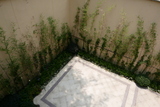 P1050555.JPG