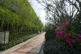 P1010390.JPG