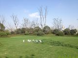 IMG_2770.JPG