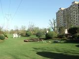 IMG_1765.JPG